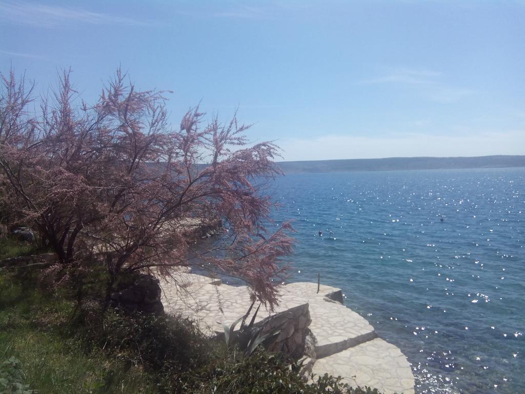 Apartments Ivanka Starigrad Paklenica Rum bild
